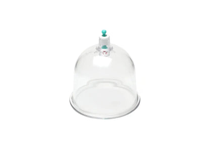 Standard Cupping Cups - Mixed Sizes from B1 to B6 Nature's Blends