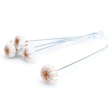 Fire Cupping Stick (1) - Nature's Blends
